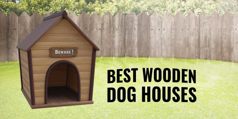 best wood for dog house