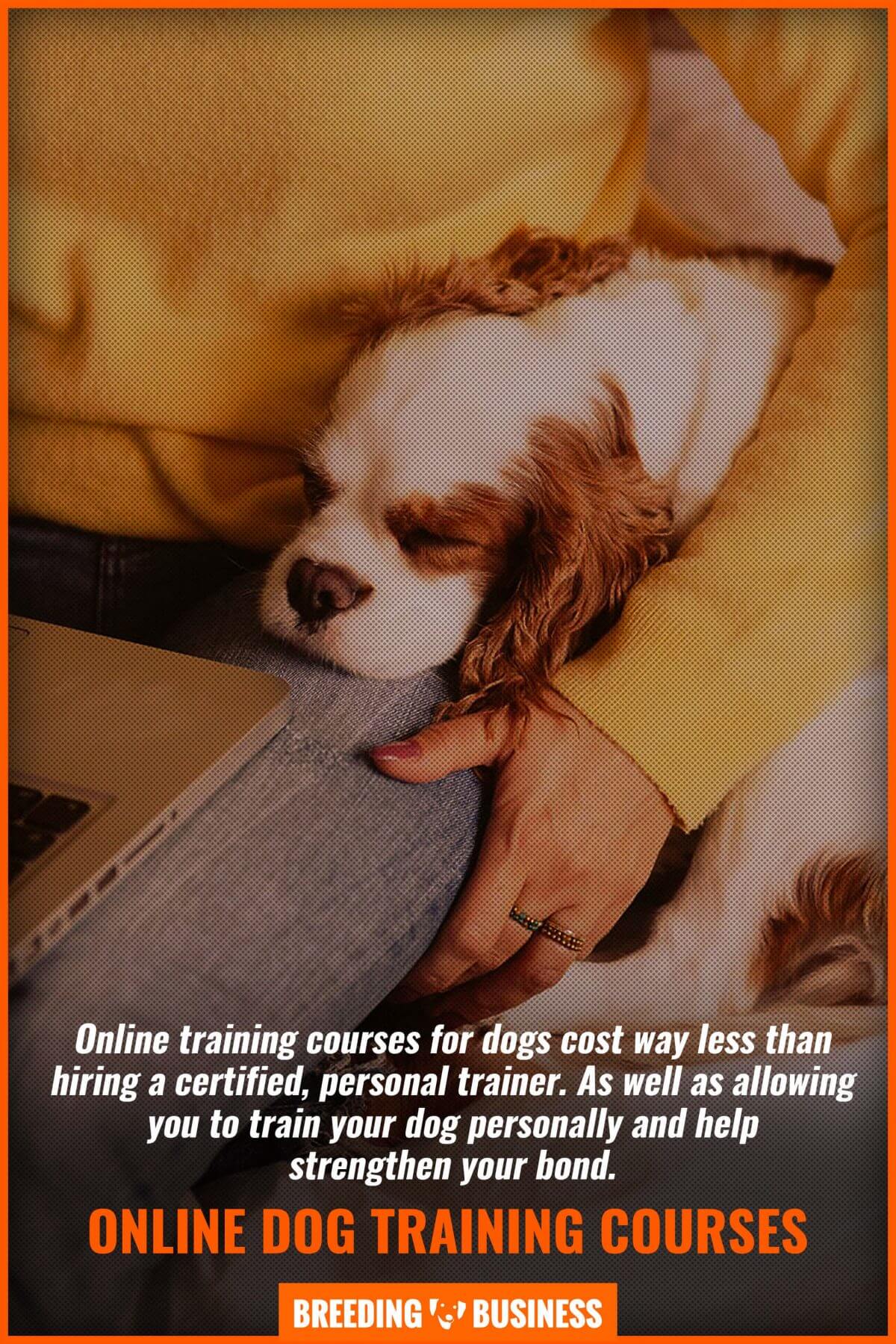 online dog training courses