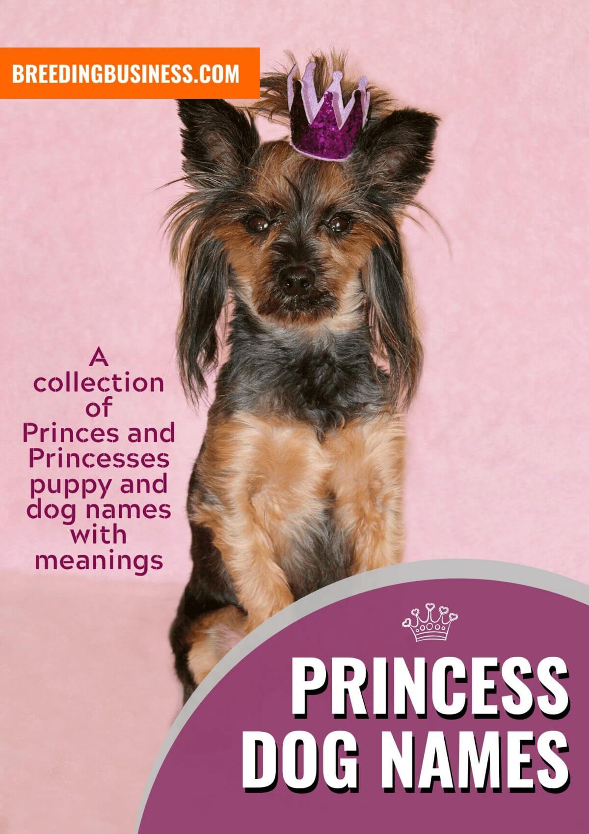princely dog names