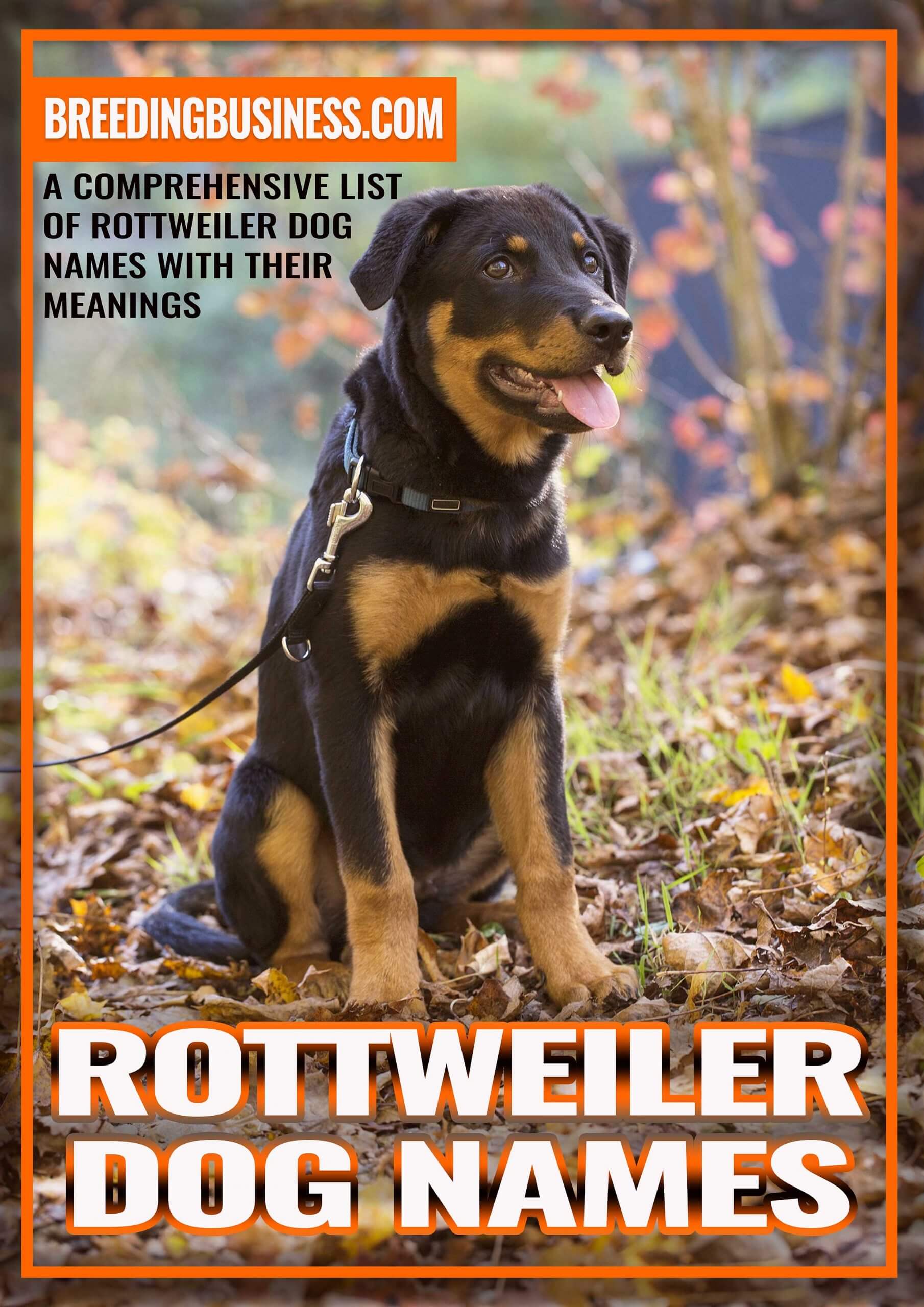 cool names for rottweilers
